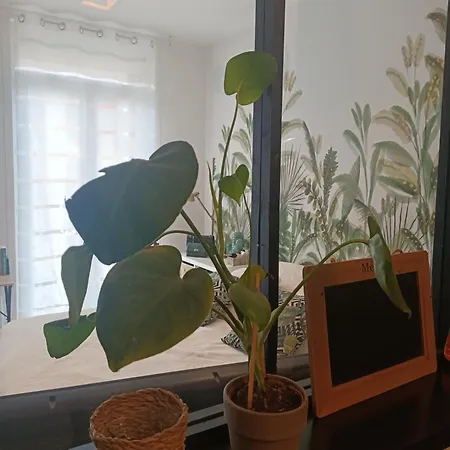 Apartamento Adorable T3 Terrasse/wifi